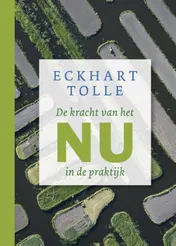 Omslag van De kracht van het nu in de praktijk