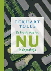 Omslag van De kracht van het nu in de praktijk