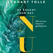 Omslag van De kracht van het NU