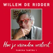 Omslag van Hoe je vrienden verliest