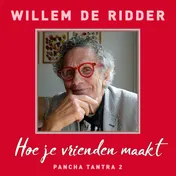 Omslag van Hoe je vrienden maakt