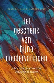 Omslag van Het geschenk van bijna-doodervaringen