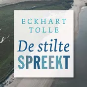 Omslag van De stilte spreekt