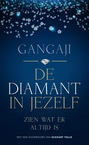 Omslag van De diamant in jezelf