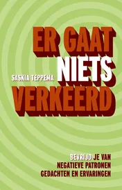 Omslag van Er gaat niets verkeerd