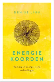 Omslag van Energiekoorden