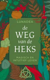 Omslag van De weg van de heks
