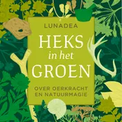 Omslag van Heks in het groen