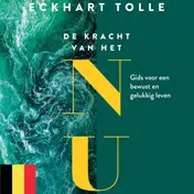 Omslag van De kracht van het NU