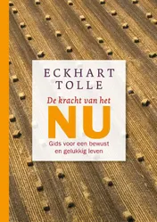 Omslag van De kracht van het NU