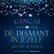 Omslag van De diamant in jezelf