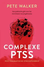 Omslag van Complexe PTSS