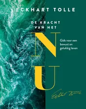 Omslag van De kracht van het NU
