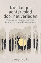 Omslag van Niet langer achtervolgd door het verleden