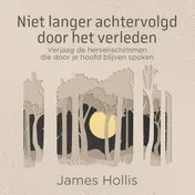 Omslag van Niet langer achtervolgd door het verleden