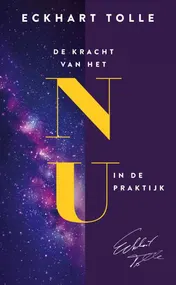 Omslag van De kracht van het nu in de praktijk