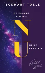 Omslag van De kracht van het nu in de praktijk