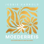 Omslag van Moederreis