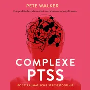 Omslag van Complexe PTSS