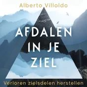 Omslag van Afdalen in je ziel