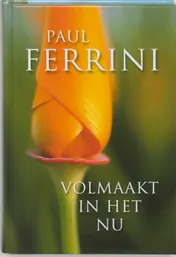 Omslag van Volmaakt in het nu