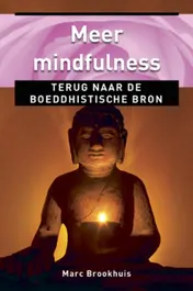 Omslag van Meer mindfulness