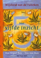Omslag van Het vijfde inzicht