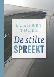 Omslag van De stilte spreekt