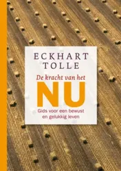 Omslag van De kracht van het NU