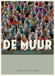 Omslag van 2013