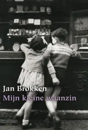 Omslag van Mijn kleine waanzin