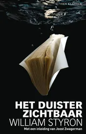 Omslag van Het duister zichtbaar