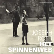 Omslag van Het spinnenweb