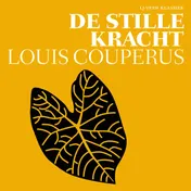 Omslag van De stille kracht