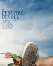 Omslag van Het festivalgevoel