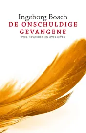 Omslag van De onschuldige gevangene