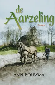 Omslag van De aarzeling