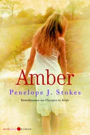 Omslag van Amber