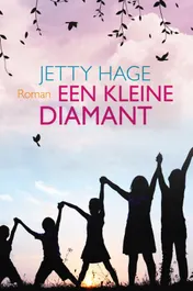 Omslag van Een kleine diamant