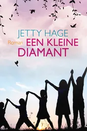 Omslag van Een kleine diamant
