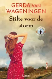 Omslag van Stilte voor de storm