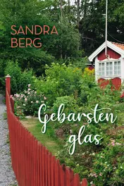 Omslag van Gebarsten glas