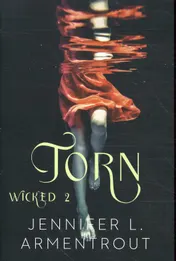 Omslag van Torn