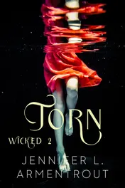Omslag van Torn