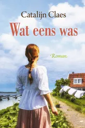 Omslag van Wat eens was