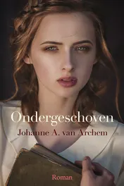 Omslag van Ondergeschoven