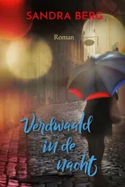Omslag van Verdwaald in de nacht