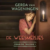 Omslag van De weesmeisjes