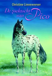 Omslag van De zoektocht van Pico