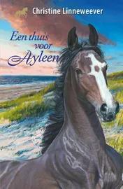 Omslag van Een thuis voor Ayleen